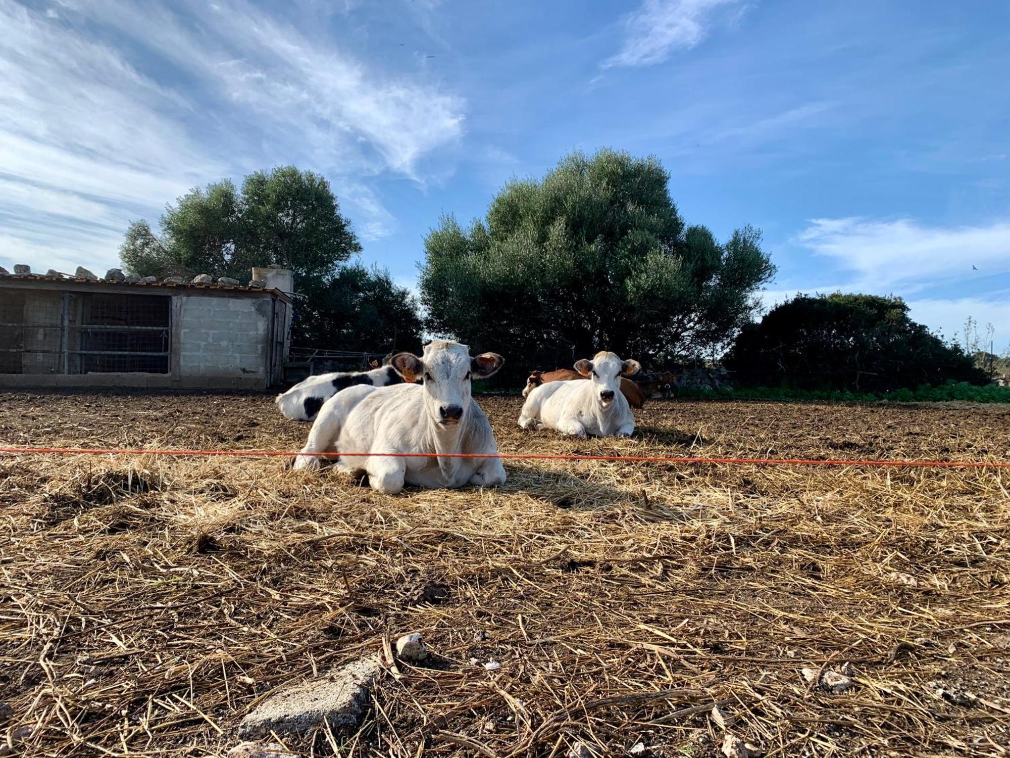 Cozzo Spadaro B&B Portopalo Di Capo Passero Exteriér fotografie