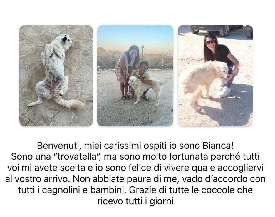 Cozzo Spadaro B&B Portopalo Di Capo Passero Exteriér fotografie